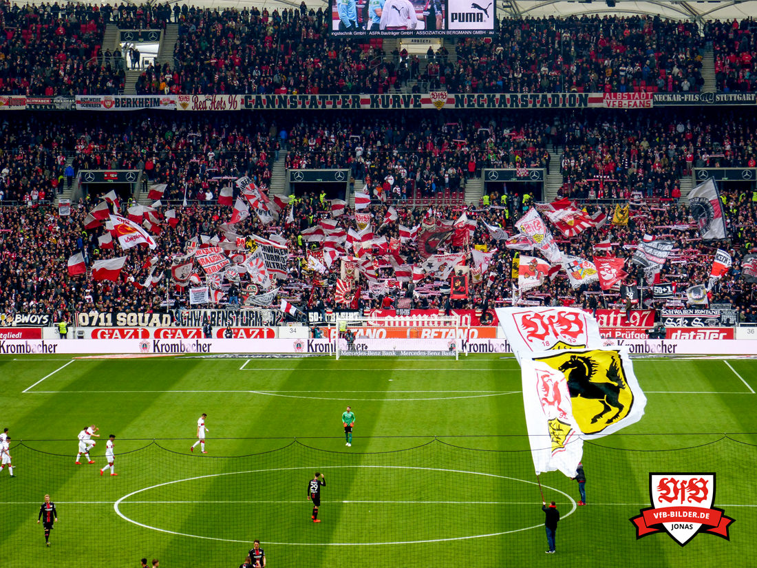 VfB Stuttgart – Bayer Leverkusen
